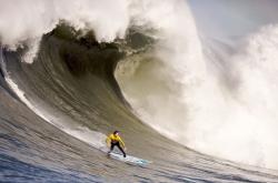 爱游戏入口-焦点战双重奏，巴斯托尼铁闸证身价，马里雄鹰斩落南非