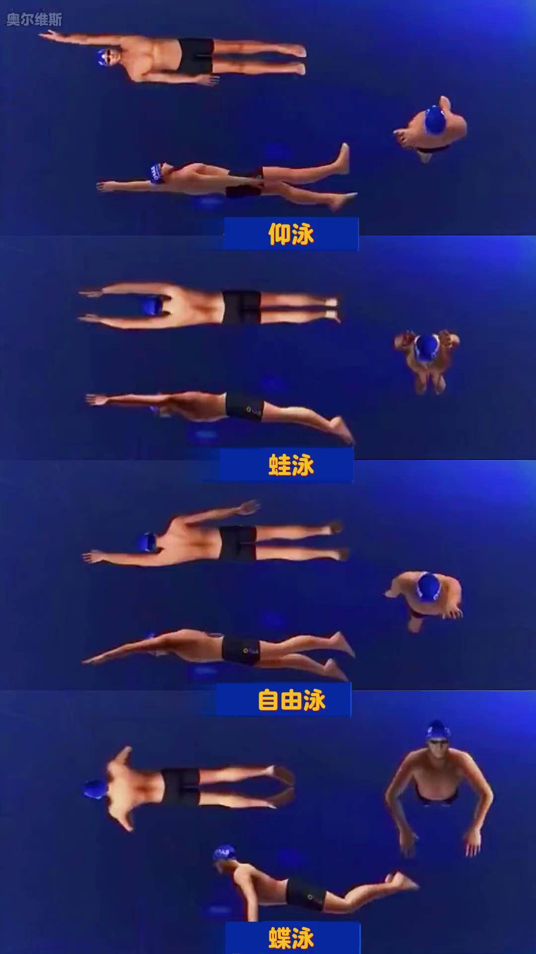 包含法国游泳选手泳姿优美,稳操胜券的词条 包含法国游泳选手泳姿优美,稳操胜券的词条