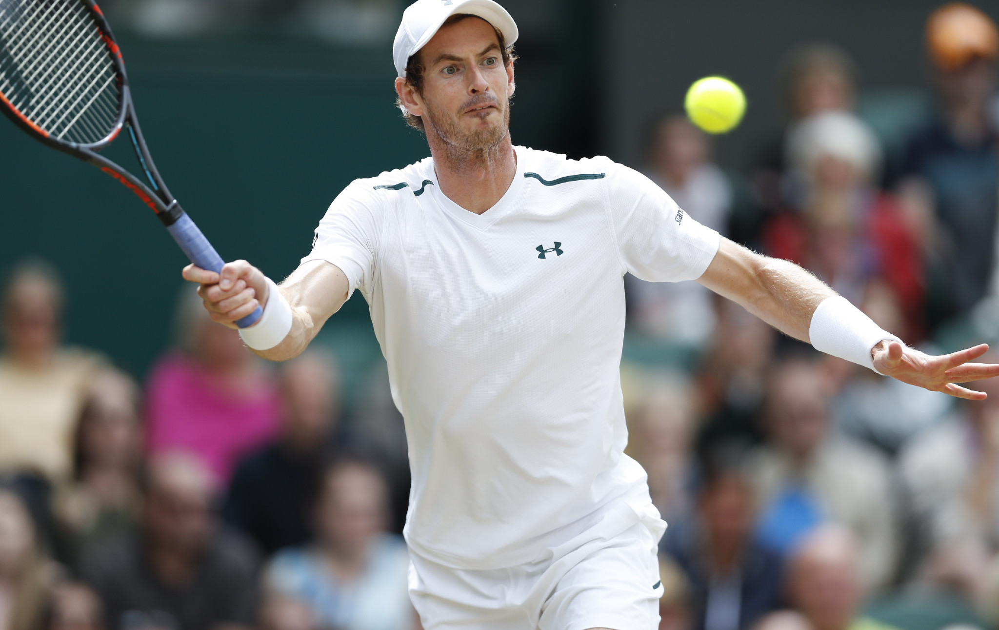 澳网鏖战温网,穆雷惊艳四座 澳网鏖战温网,穆雷惊艳四座