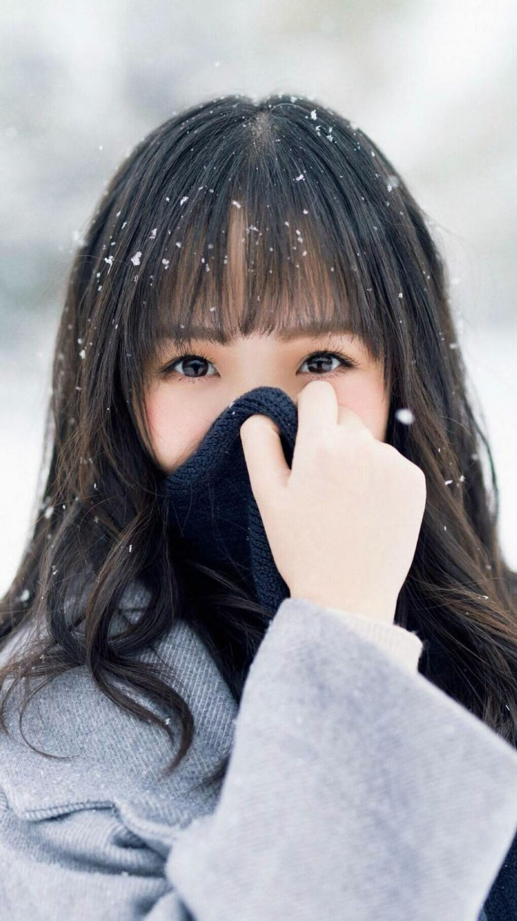 迪马利亚的瞬间爆发与奥地利的节奏魔法，法国如何被一场战术交响乐击溃