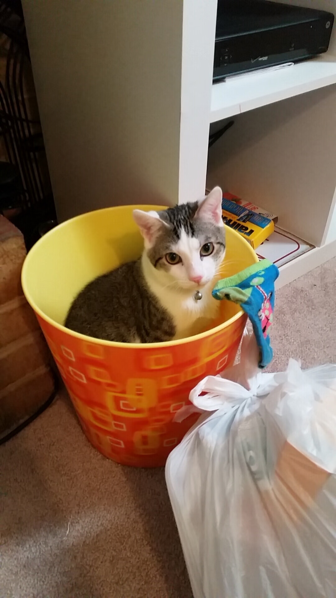 从尼斯到佛罗伦萨，福登如何成为英格兰足球的关键先生