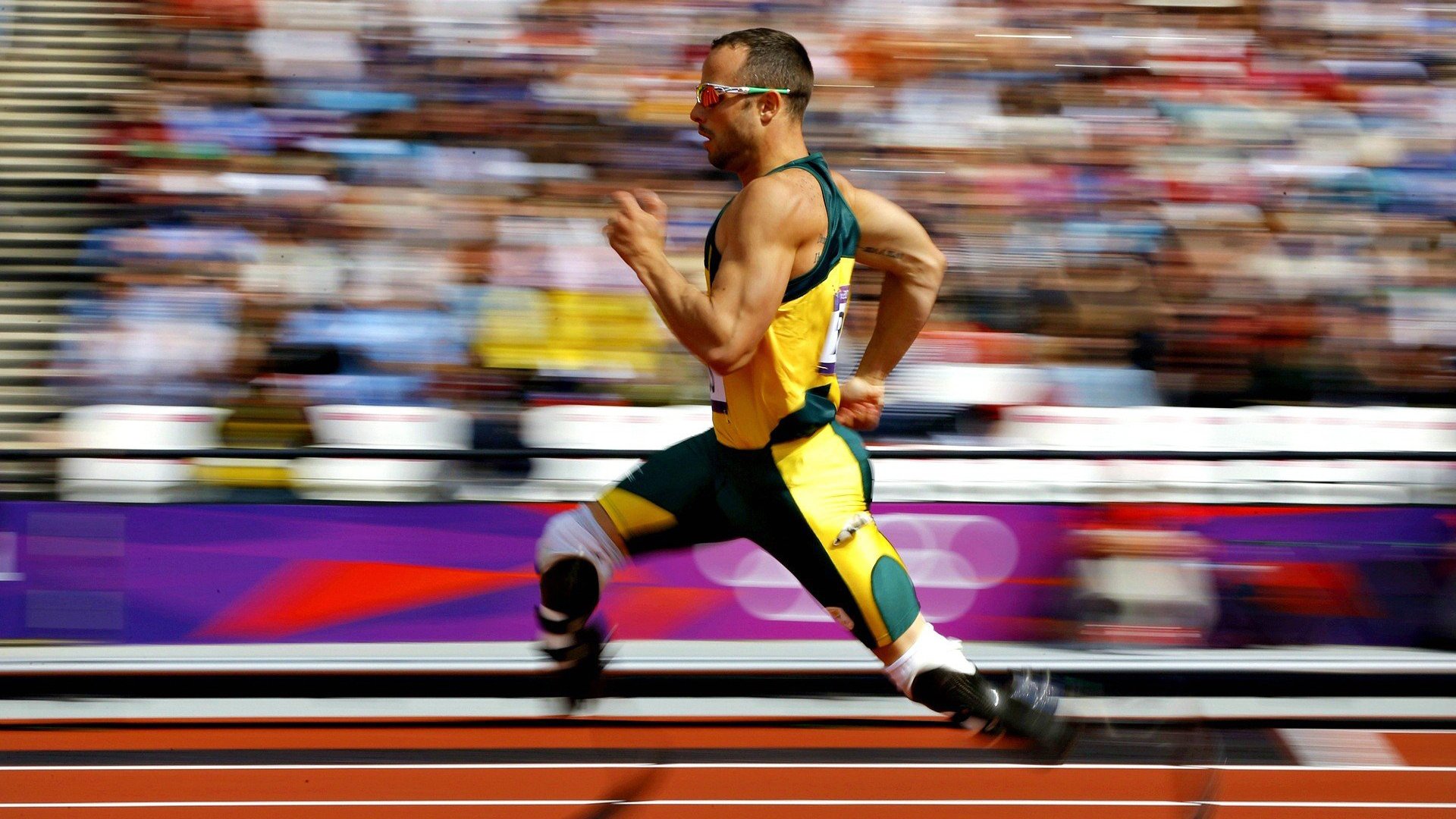 范弗利特独舞之夜,浙江队对阵魔术,个人能力完全展现