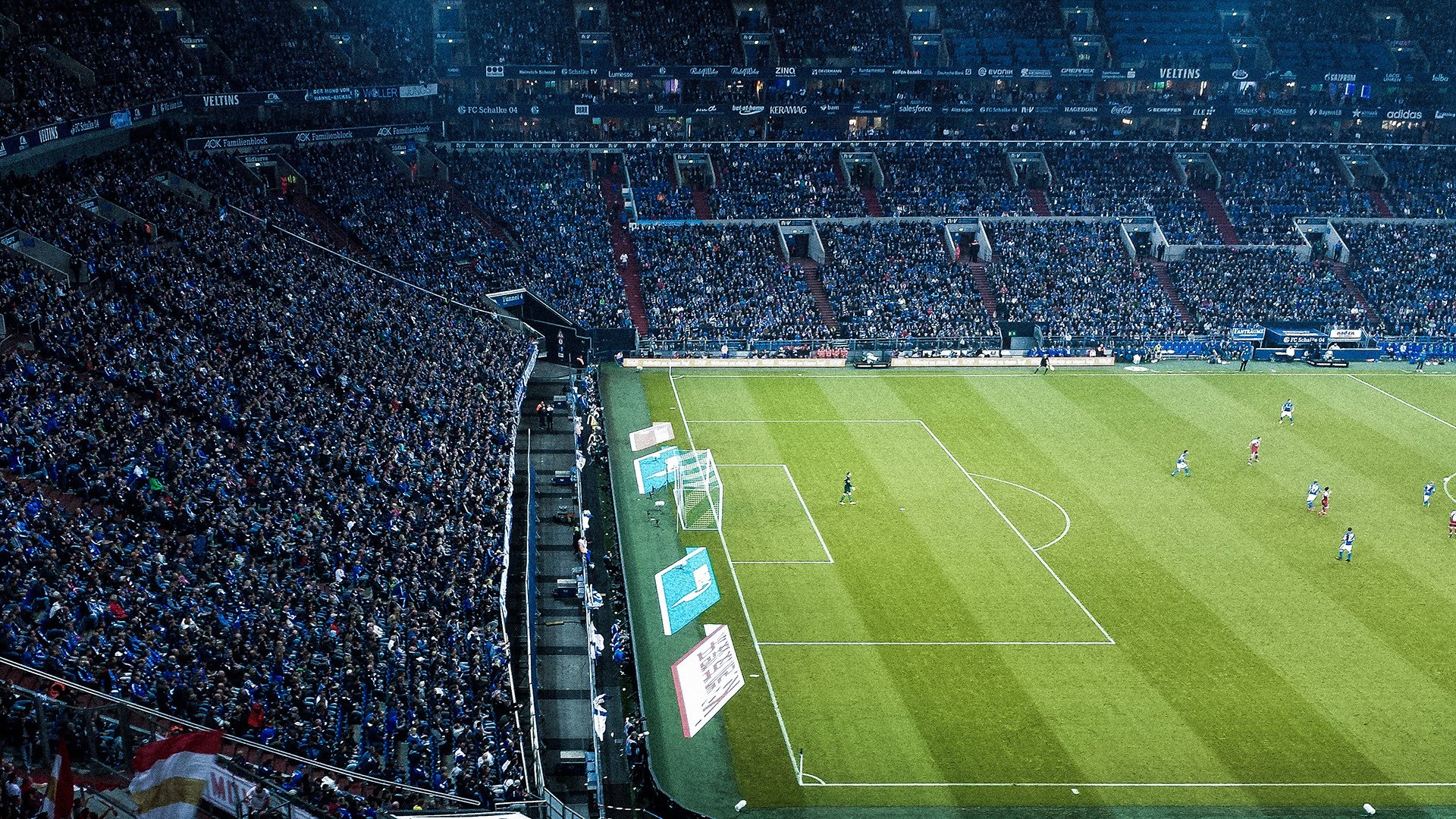 当华南虎遇见孟菲斯熊,詹姆斯跨洋带队力克广东